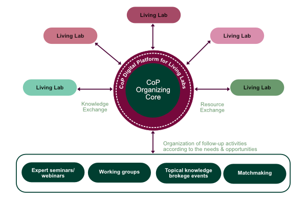 CoP organizing core graphic