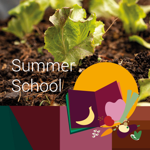 Collage teaser image