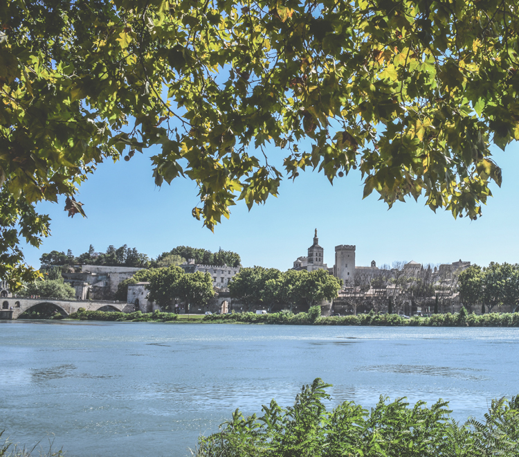 Avignon region