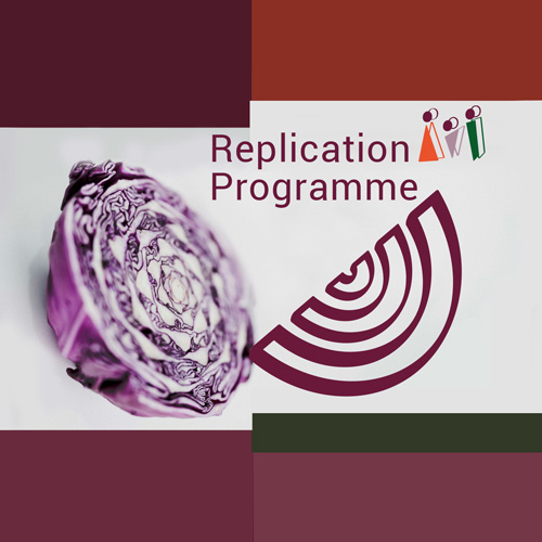 Teaser image for replication showing the title and half of a red cabbage with the FEAST food icon