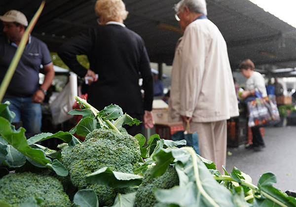 Viana do Castelo market