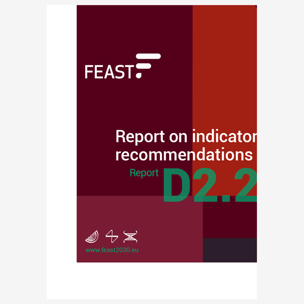 Report on indicator recommendations cover teaser