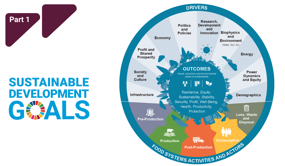 SDG and food security graphic