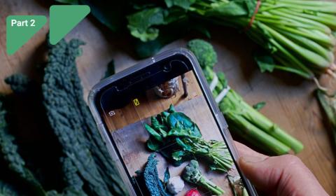 Smartphone photographing fresh green kale
