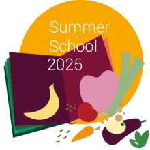 Summer School 2025 teaser illustration