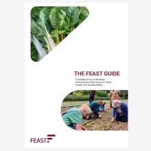 Teaser image FEAST guide