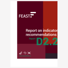 Report on indicator recommendations cover teaser