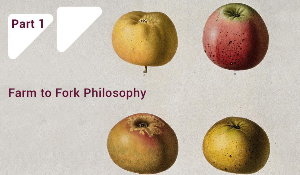 Four cultivars of apples